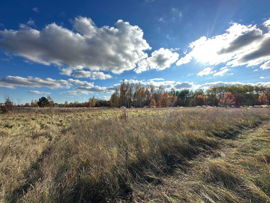 Продаж ділянки 38.36 соток. с Почепин. Макарівський район ID732