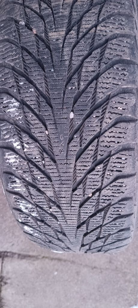 Шини  Nokian Hakkapeliitta R3 195/55 R16