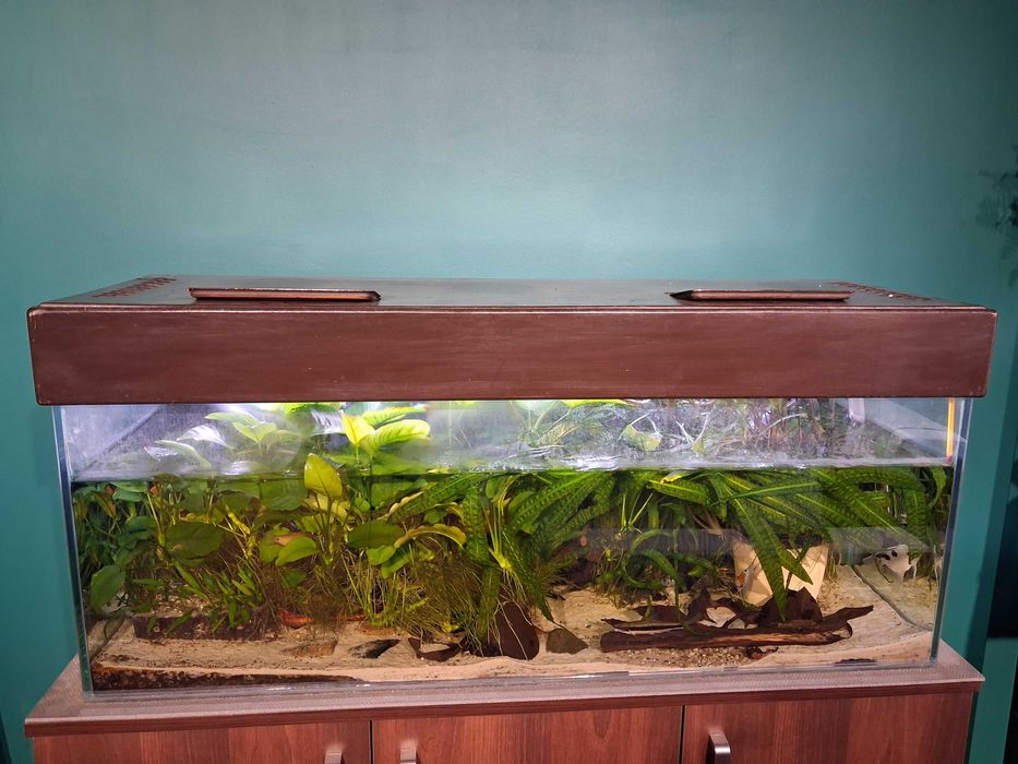 Akwarium 160 litrów
