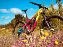 Marin Alpine Trail