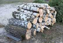 Sprzedam drewno na opal- brzoza