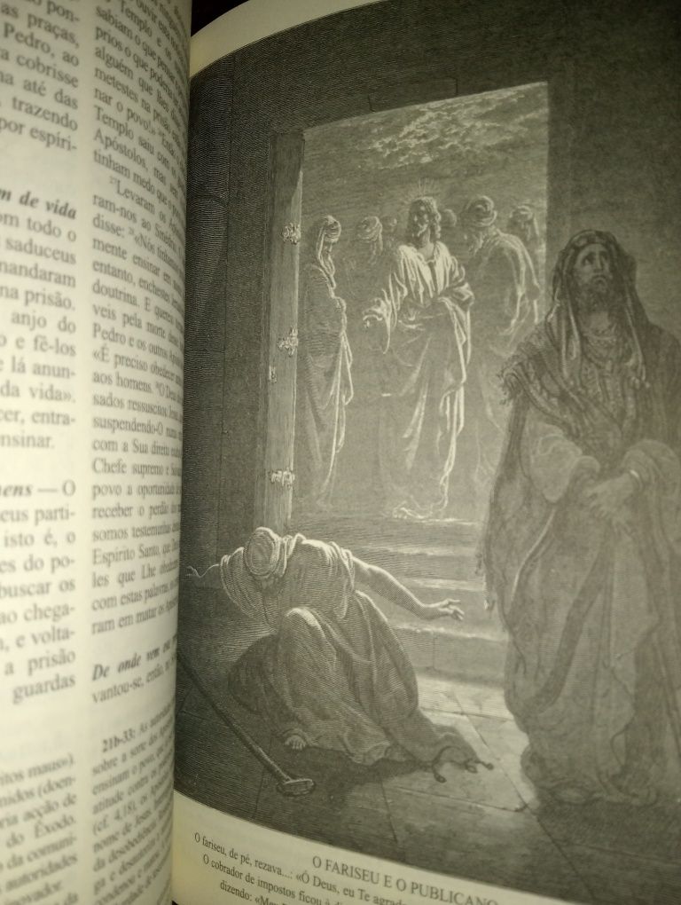 Novo Testamento Gustave Dore Bíblia Pastoral