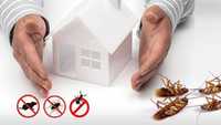 Потравить тараканов, блох, мошек, комаров, клопов, крыс, мышей и други