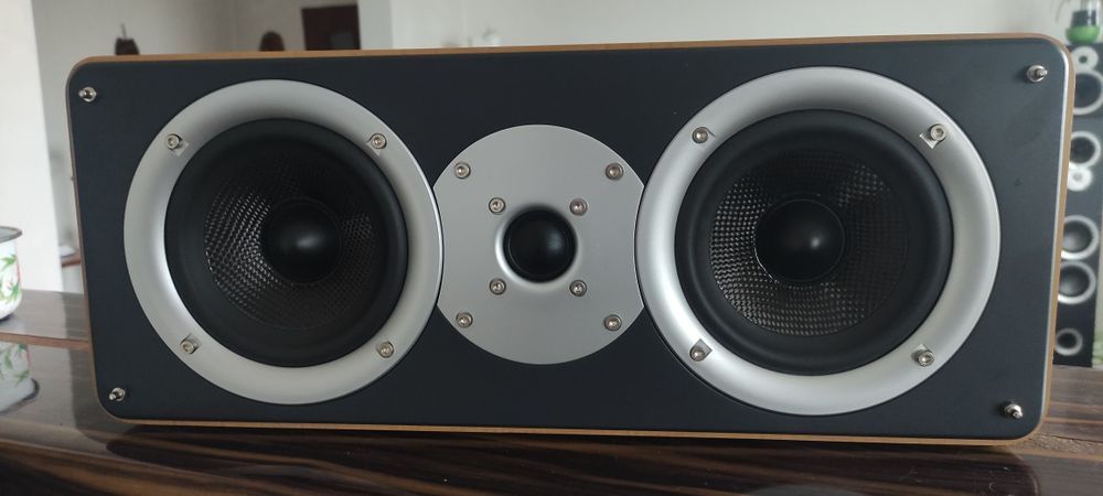 Acoustic kingdom giga cs1. (Центральный канал)