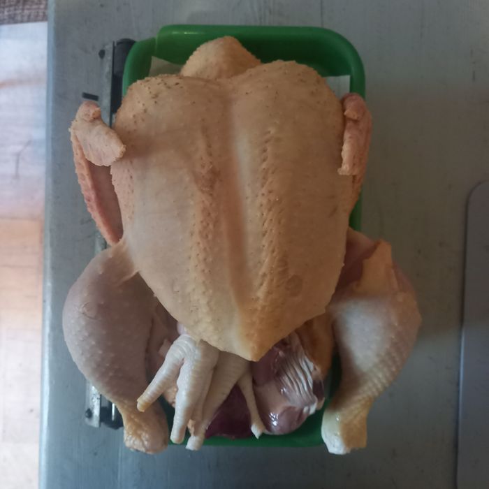 Kurczak brojler tuszka