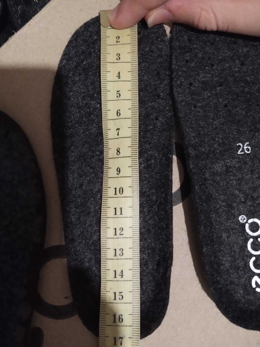 Ботинки зимние Ecco термо сапожки черевики детские