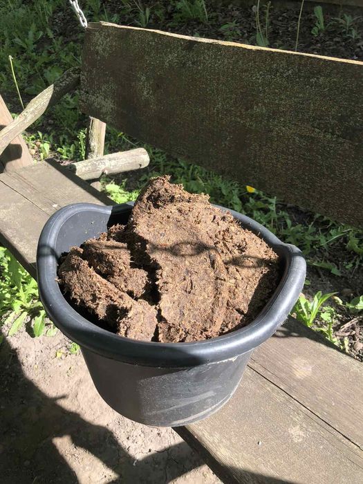 Жмих корня лопуха