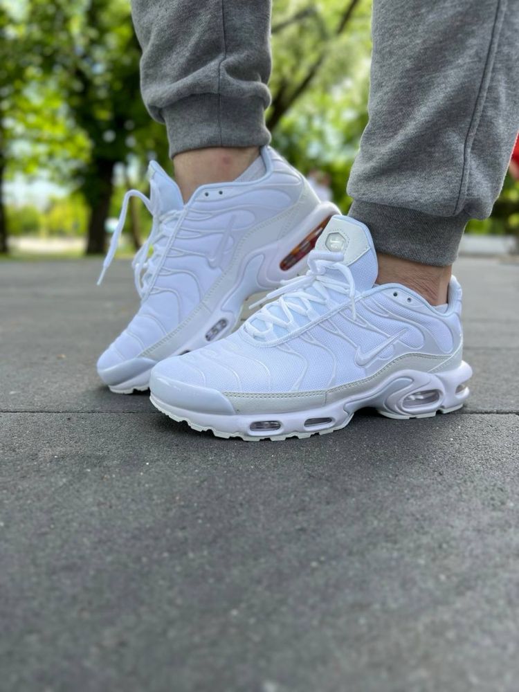 Кроссовки Nike Air Max Plus