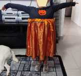 Fantasia / Disfarce Bruxa (Halloween / Carnaval)