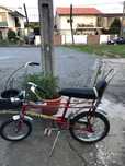 Bicicleta Catita Vilar GT