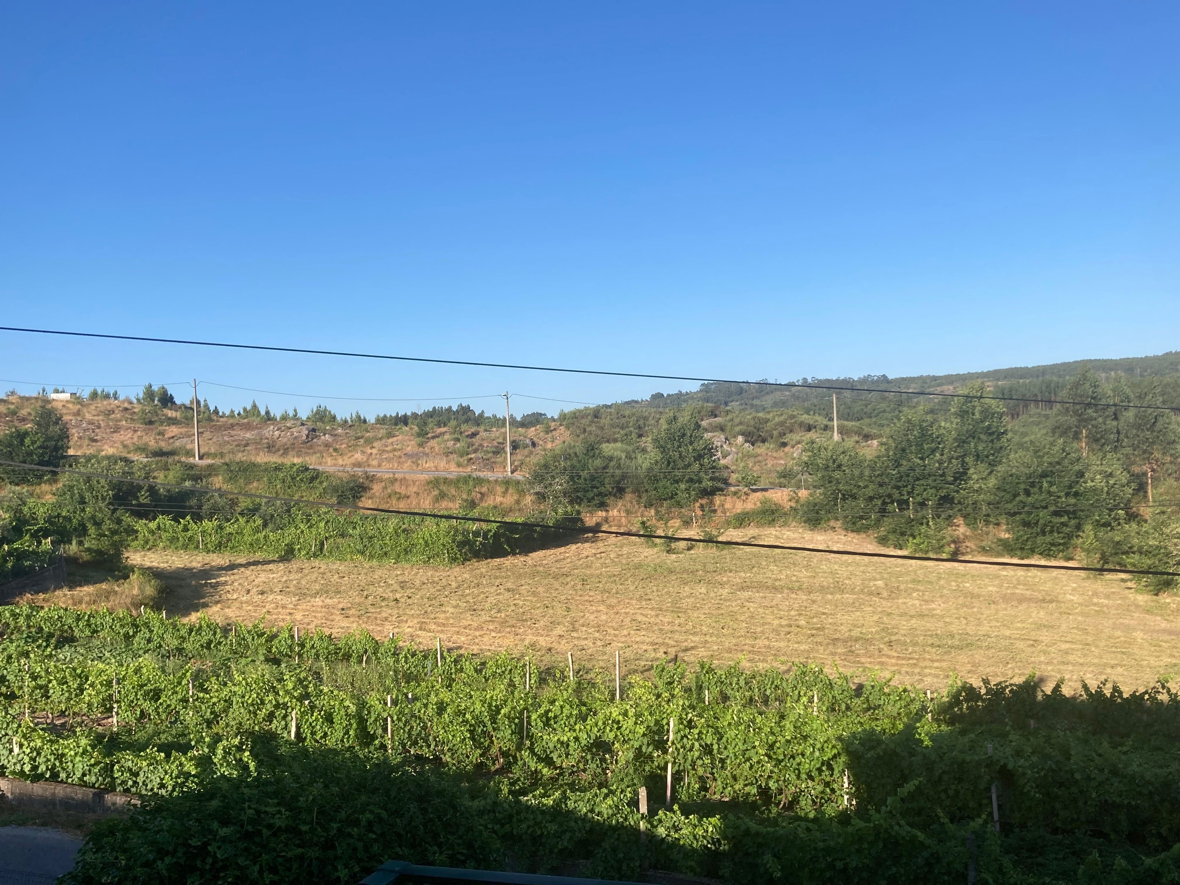Todo o tipo de serviço de limpeza terrenos