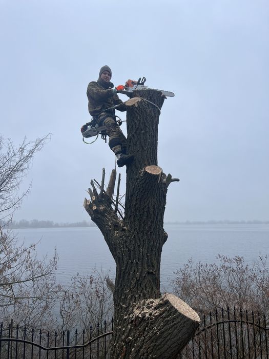 Зрізання аварійних дерев , чистка великих ділянок , різання дров