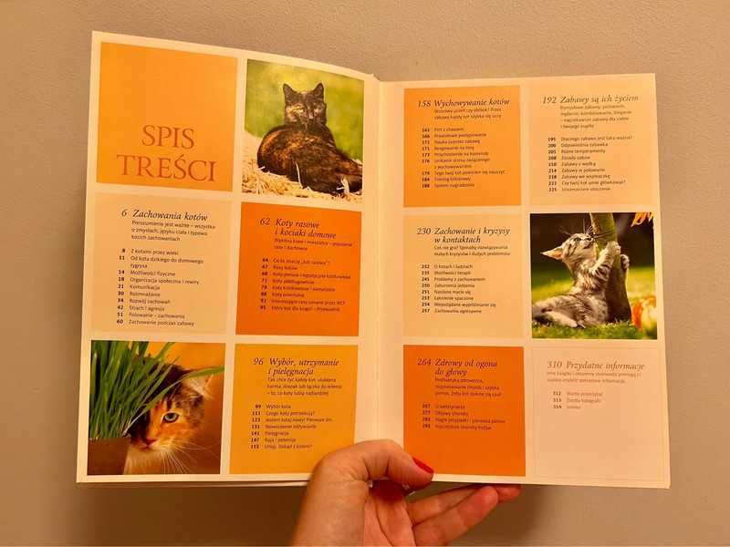 Książka dla miłośników kotów i nie tylko