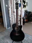 ibanez ael 2012e-tks1204