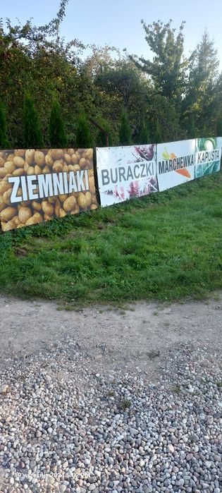 Kapusta główki , szatkowana kamienna głowa