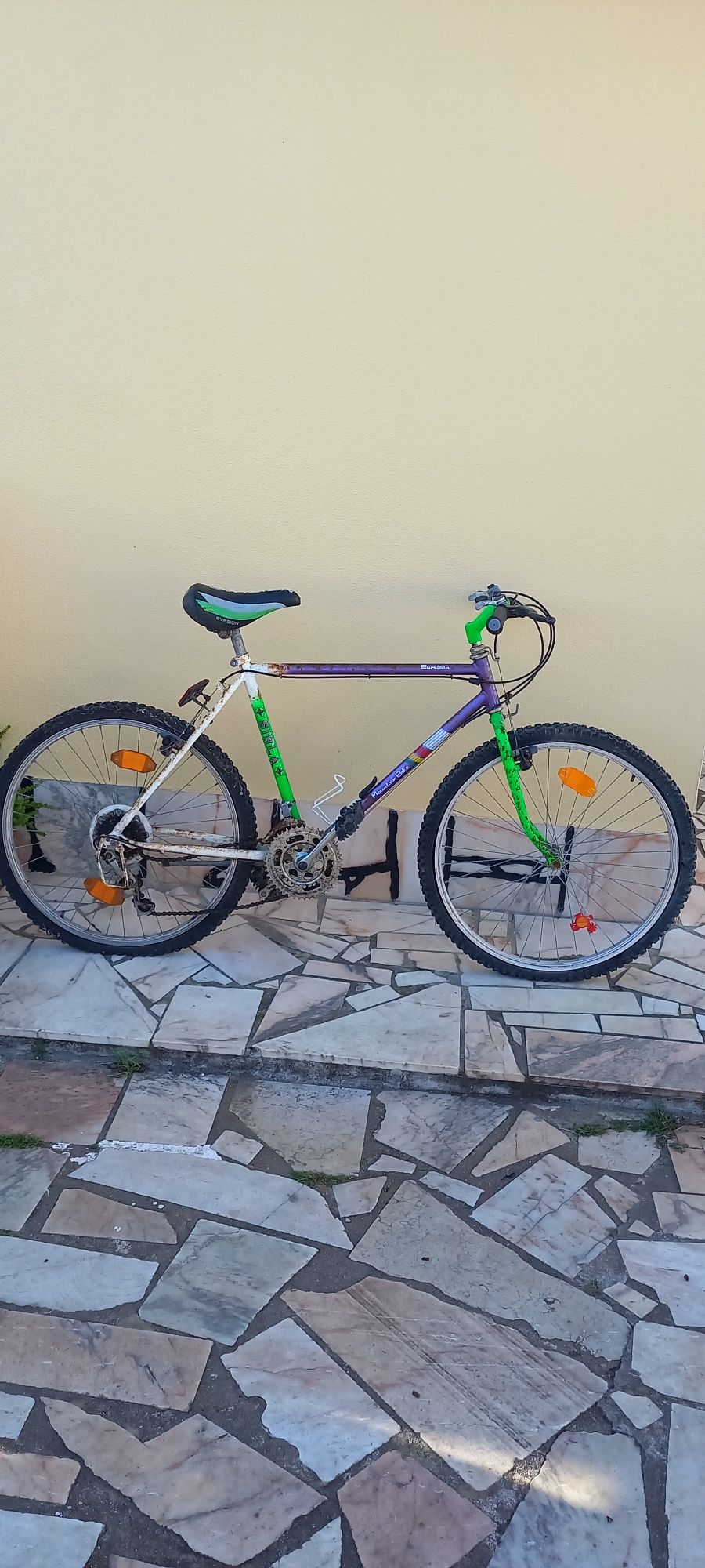 Bicicleta Antiga