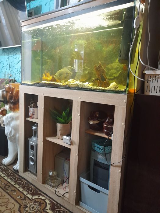 Аквариум,  акваріум