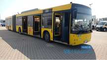 Maz Autobus MAZ 215069 miejski
