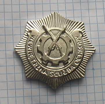 Odznaka Wewnętrzna Służba Ochrony