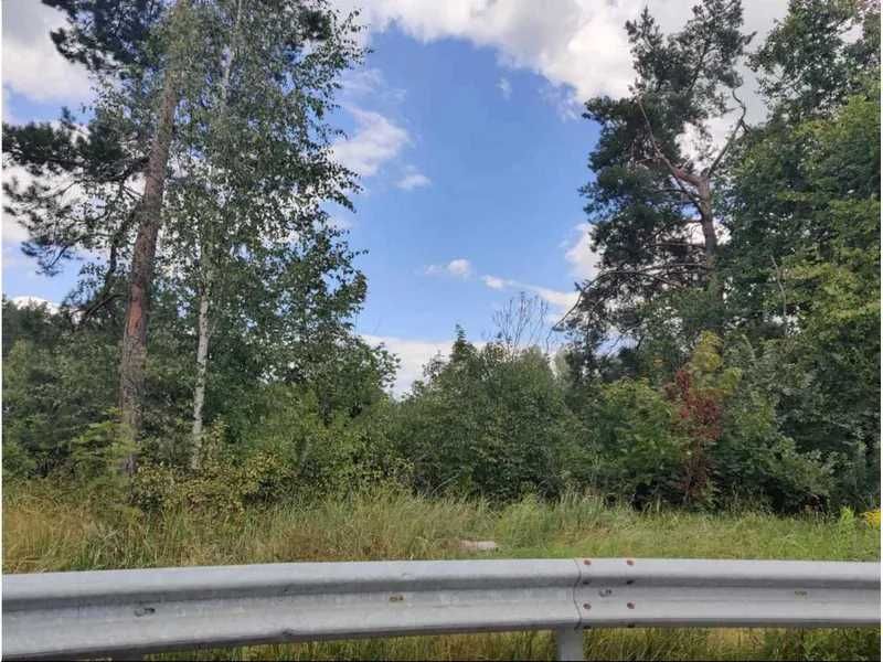 Земельна ділянка (5,0 га) - с. Березівка Житомирської обл.