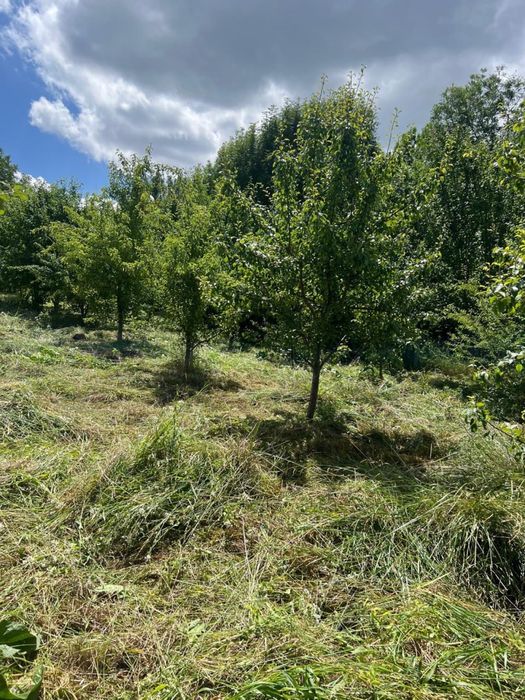 Будинок поряд водойми! Ідеально!