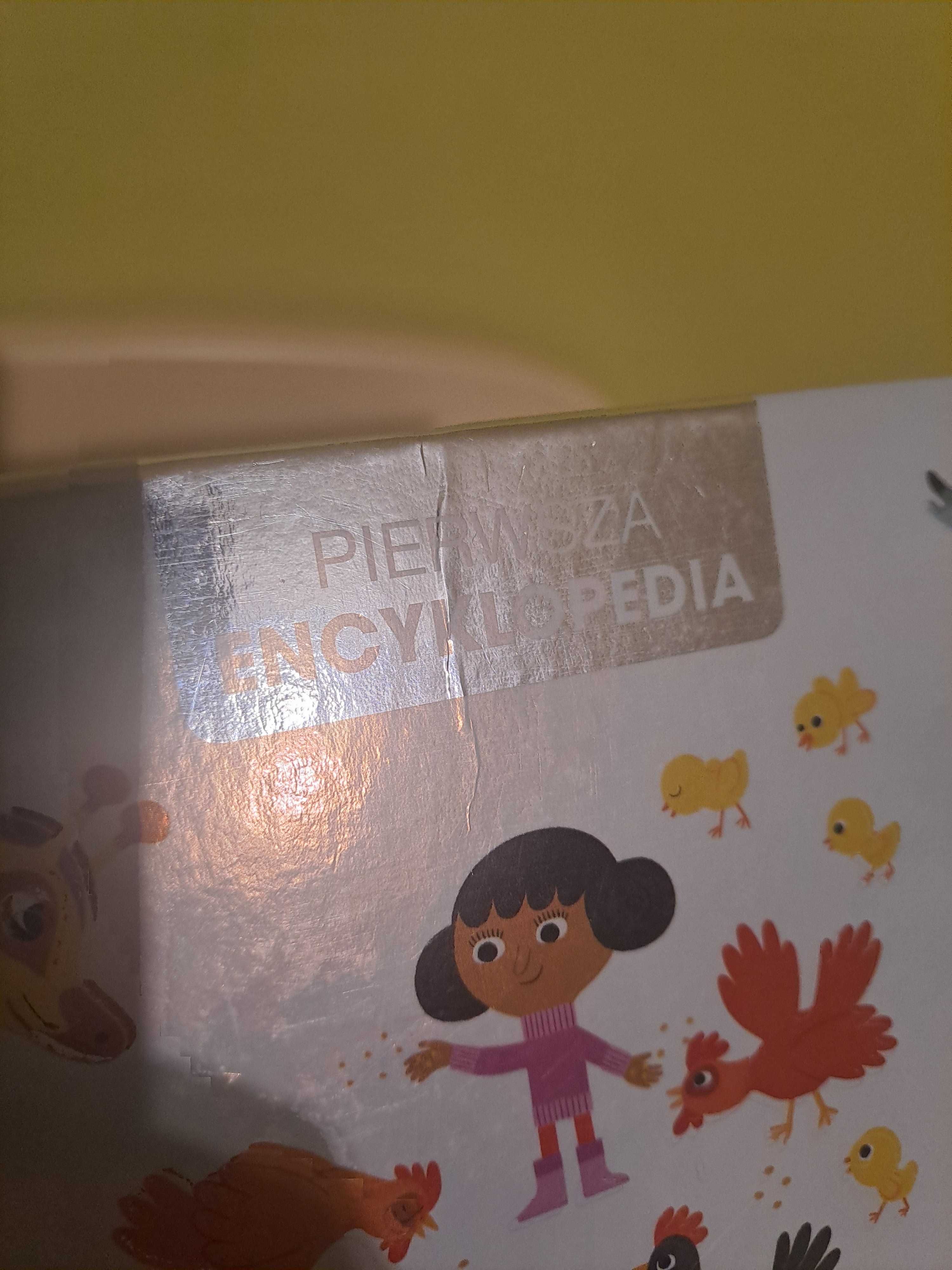 Książka dla dzieci "Pierwsza encyklopedia - Zwierzęta"