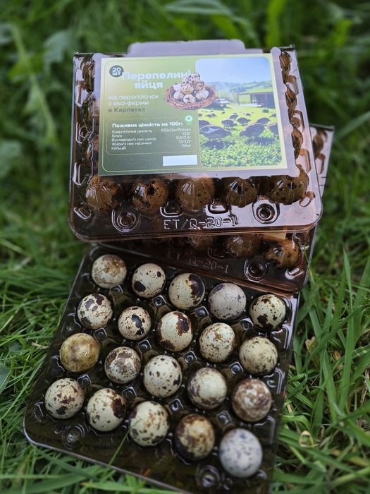 Парепелині яйця з еко ферми Карпат гурт опт