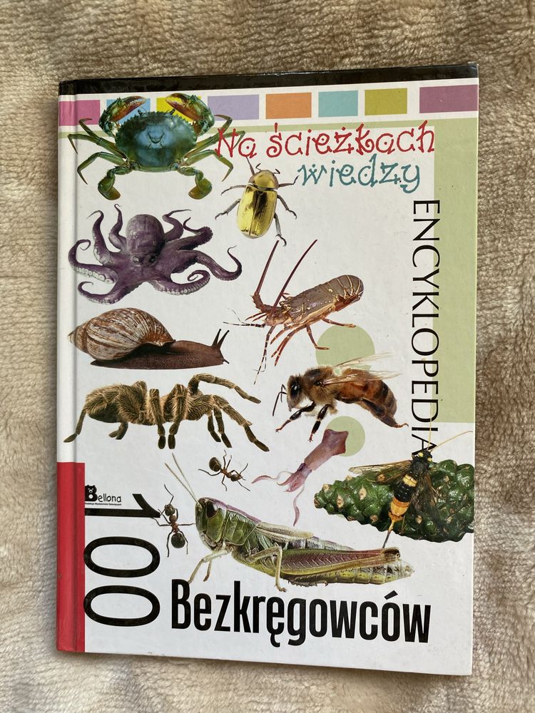 Zestaw książek encyklopedii na ścieżkach wiedzy