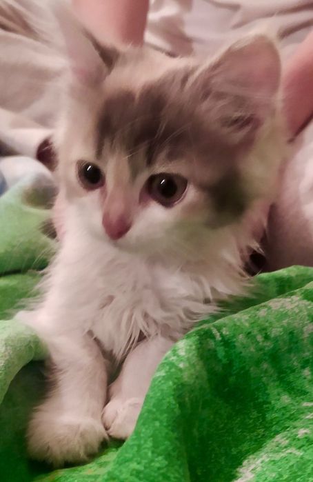 Вона ще зовсім малеча, але вже вміє чекати…