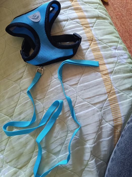 Прогулянковий повідець+шлея для кота,собаки