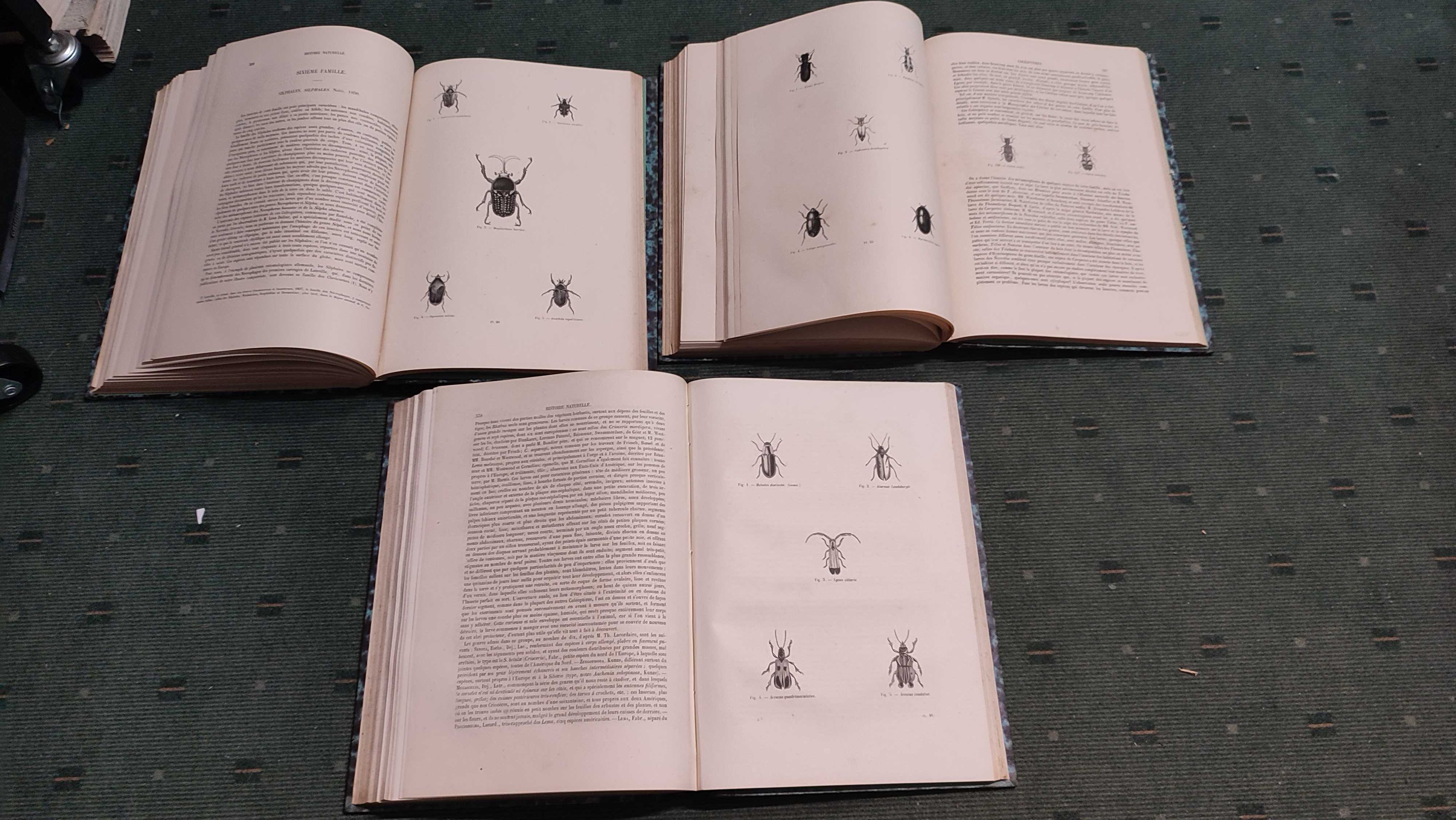 Encyclopédie D'Histoire Naturelle Traité Complet -Coléopteres - 3 Vol