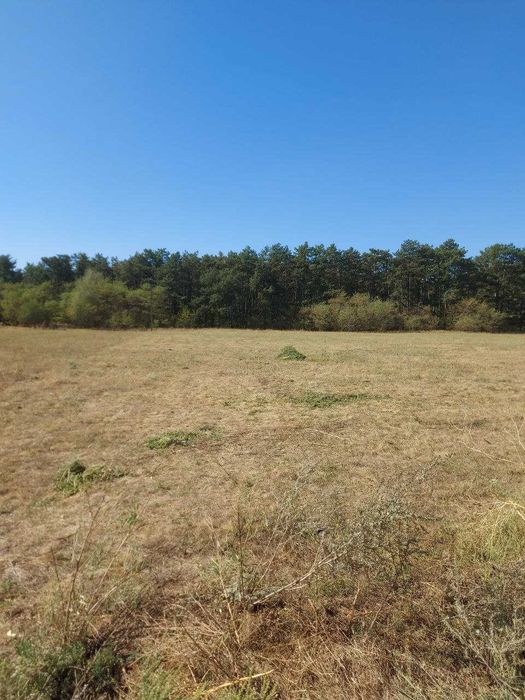 ЗЕМЕЛЬНА ДІЛЯНКА 20 соток під забудову біля хвойного Лісу