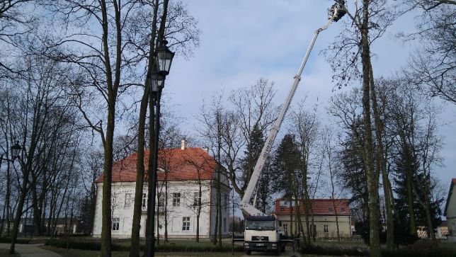 Wycinka drzew- Zielonka Marki Ząbki Wołomin Kobyłka Radzymin