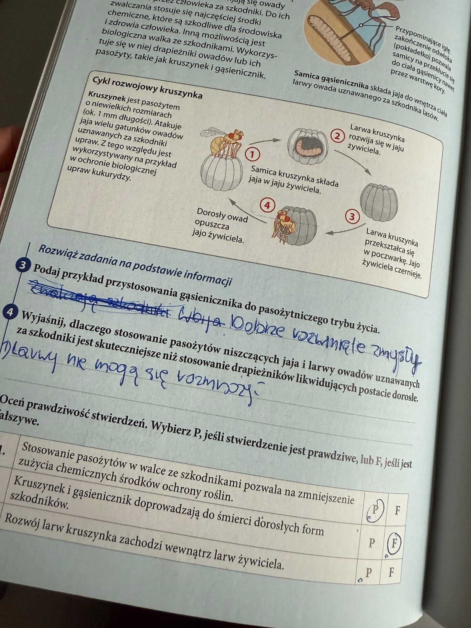 Puls życia. Biologia. klasa 8. Zeszyt ćwiczeń