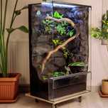 terrarium tropikalne 60x40x100