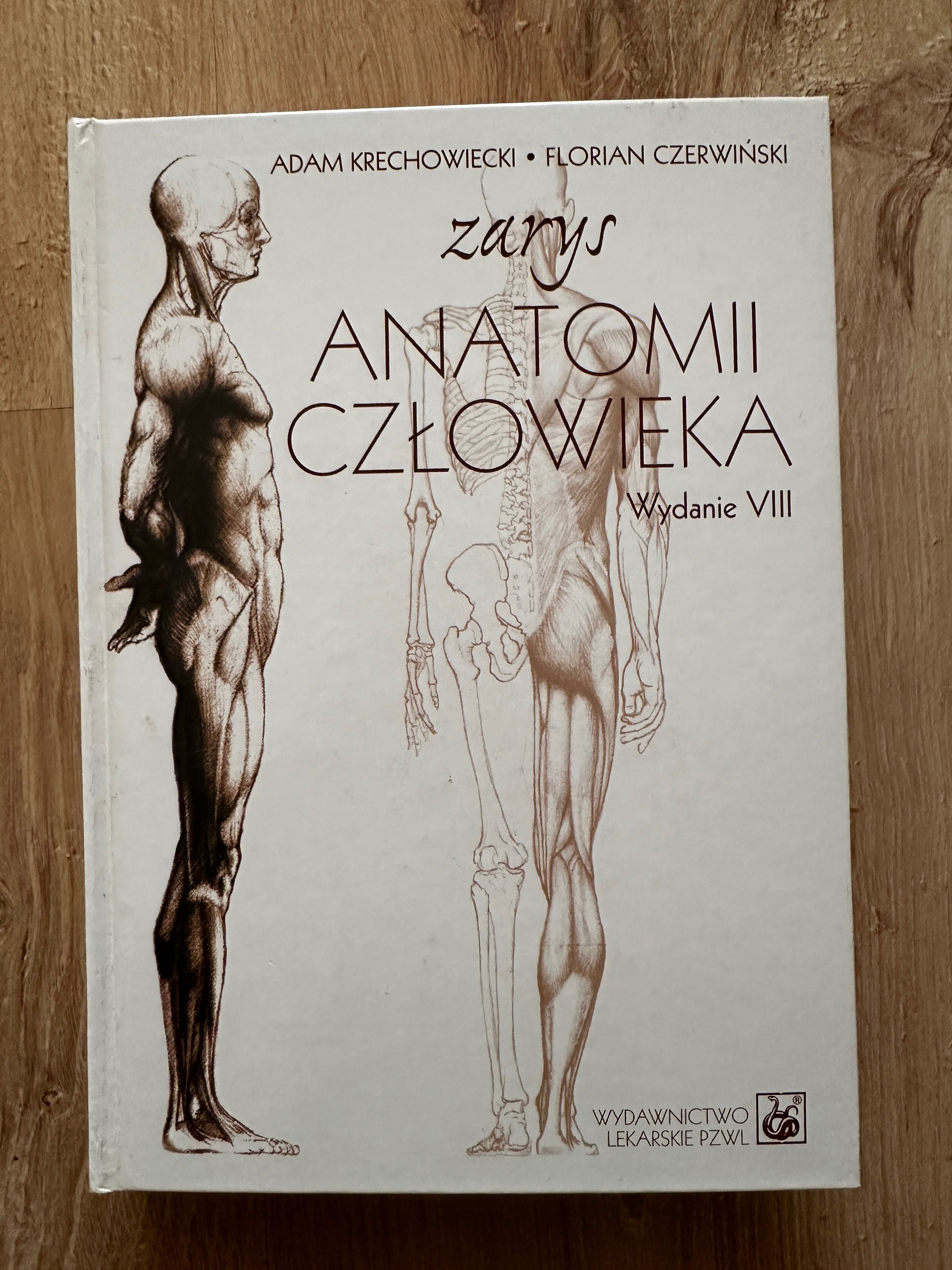 Zarys anatomii człowieka