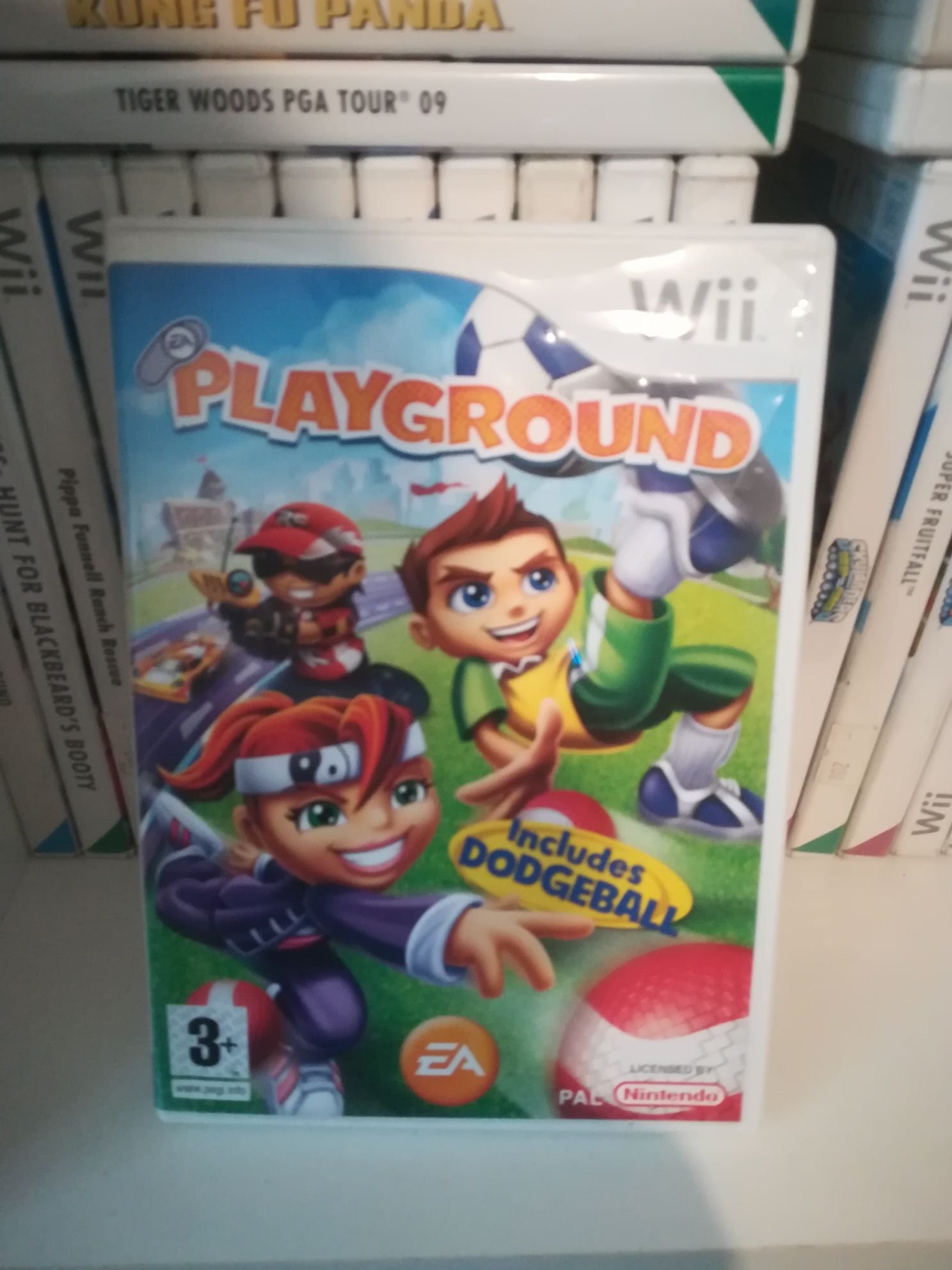 Playground Nintendo Wii