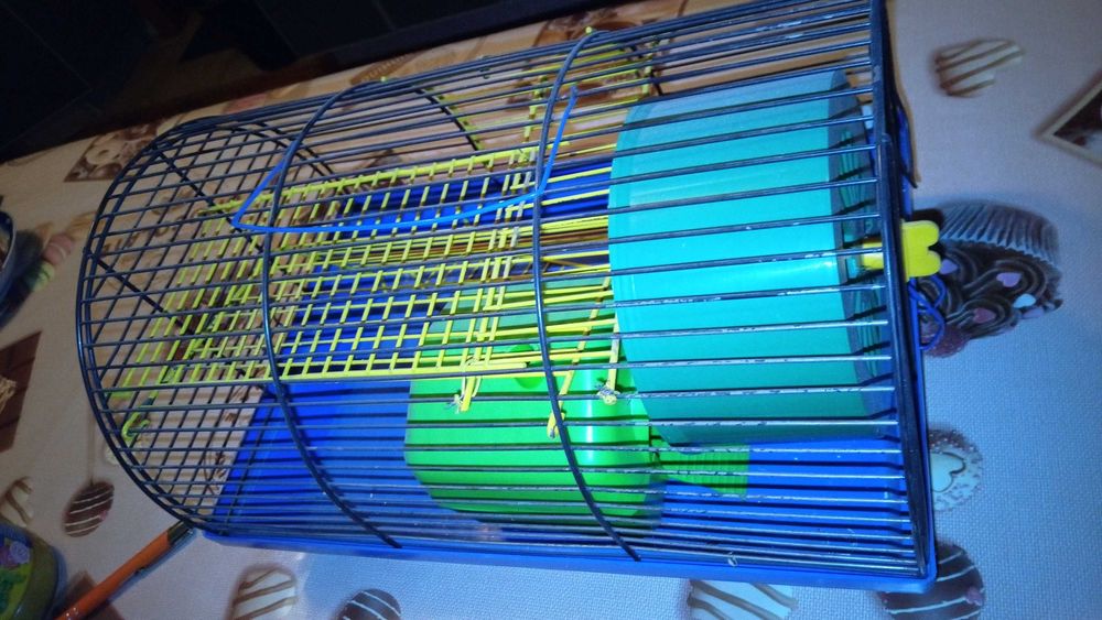 Клетка клітка для гризун хомяк джунгарик домик колесо поилка лестница