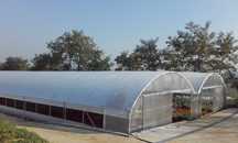Tunel Foliowy Zblokowany / Tunel Ogrodniczy  16 x30 m