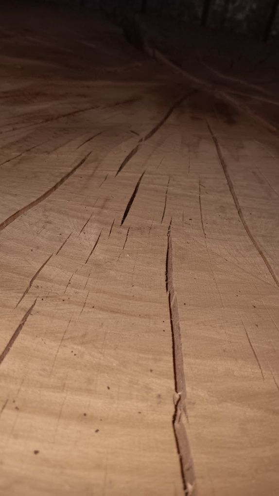 Plaster drewna buk