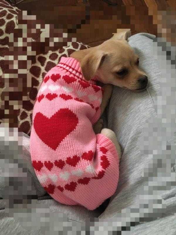 Свитер сердце для кота собаки свитерок сердечко вязанный