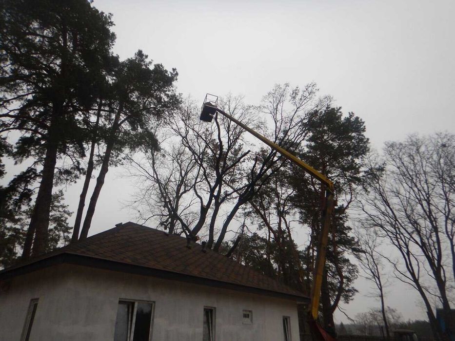 Видалення. Валка. Спилювання небезпечних, аварійних дерев