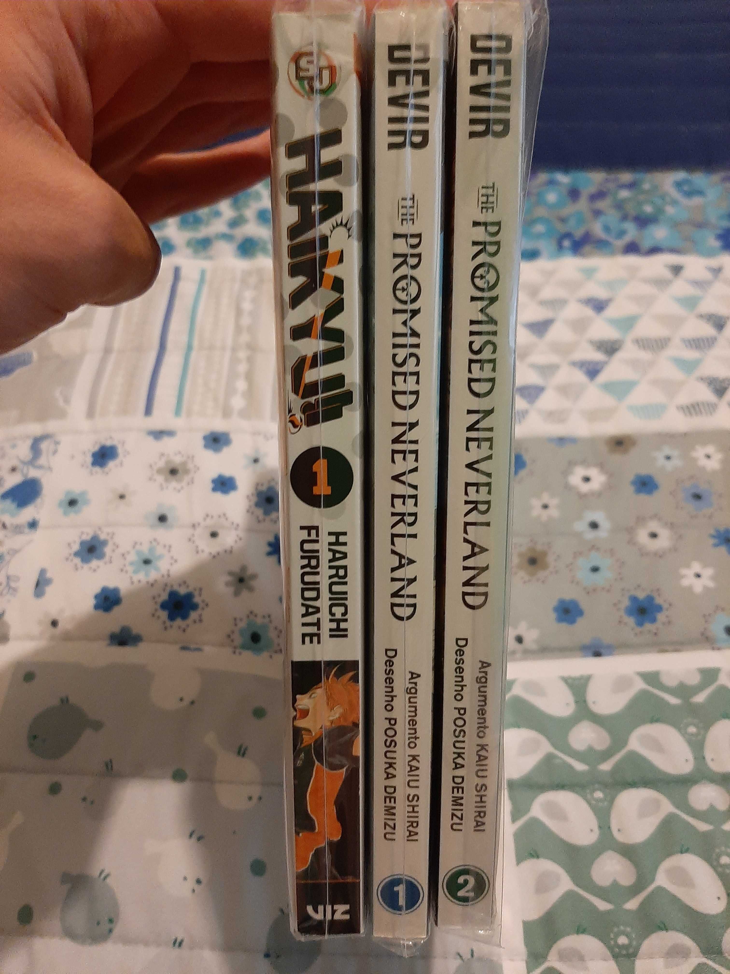 Vendo mangás-Demon Slayer, Boruto, MHA...