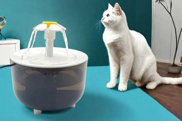 Bebedouro Fonte para gatos/ cães