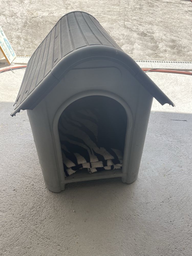 Casota para cão