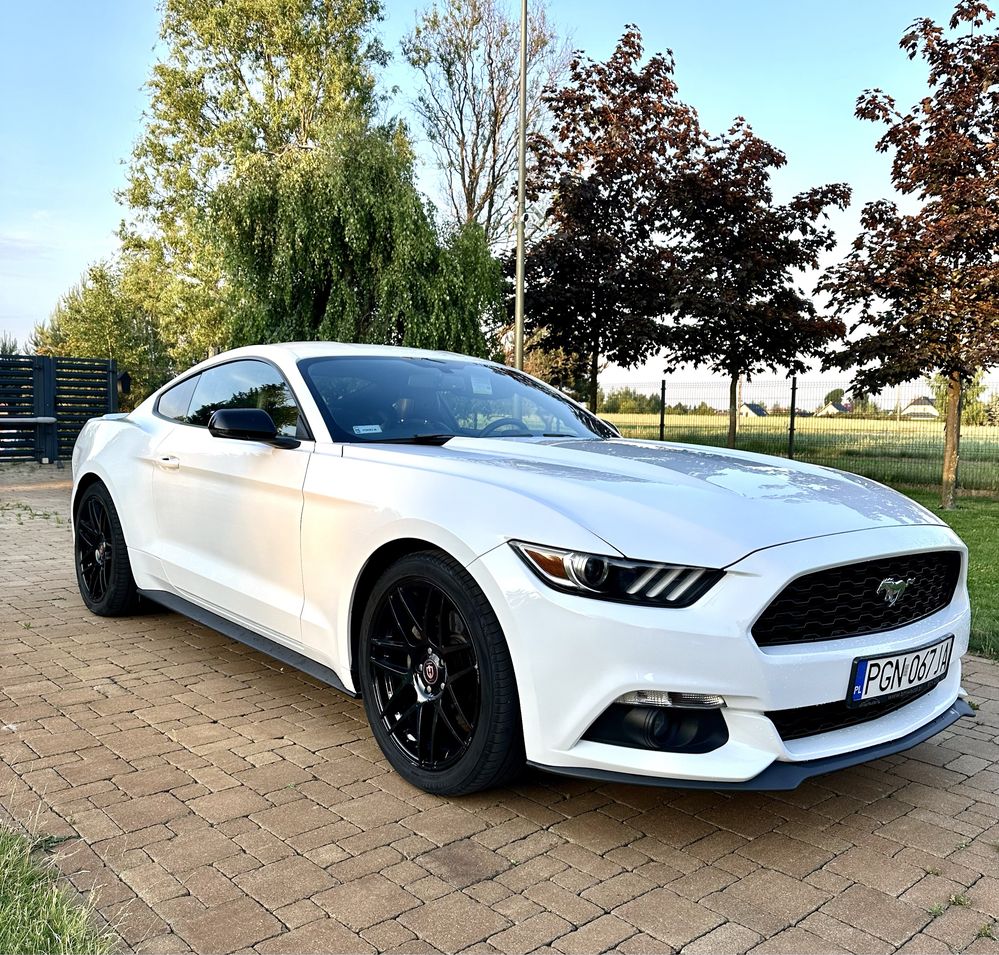 Mustang coupe wypozyczalnia aut wynajem promocja 30 dni 5900z Fv