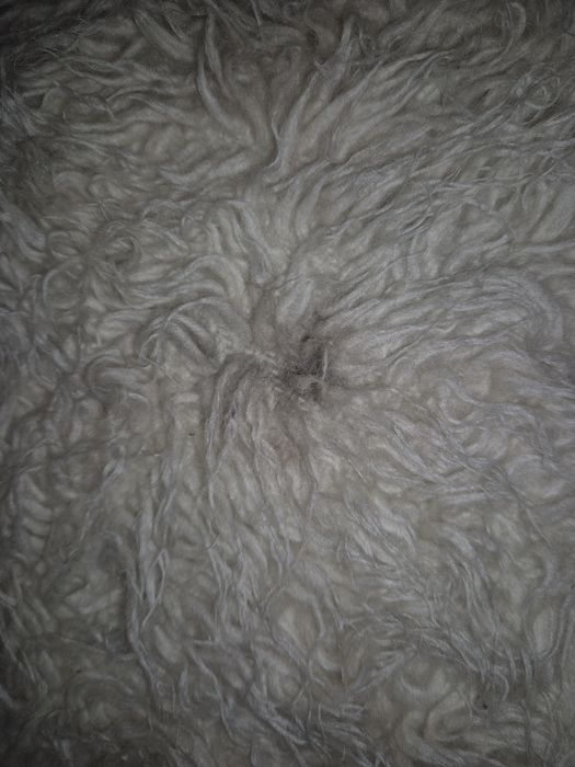 Narzuta włochacz, futrzak długi włos