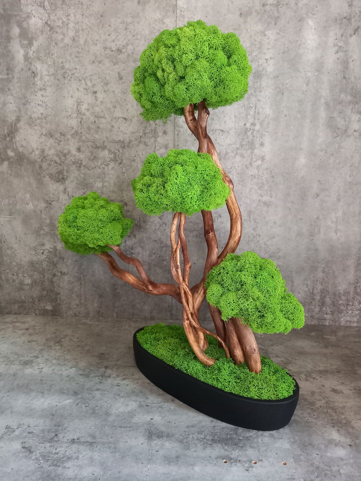 Dekoracja do domu, biura. Drzewko Bonsai. Mech  Chrobotek. Prezent.