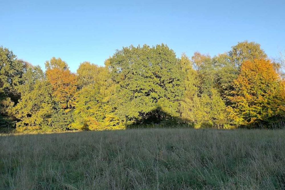 Działka budowlana w Pogorzycach, 25 arów