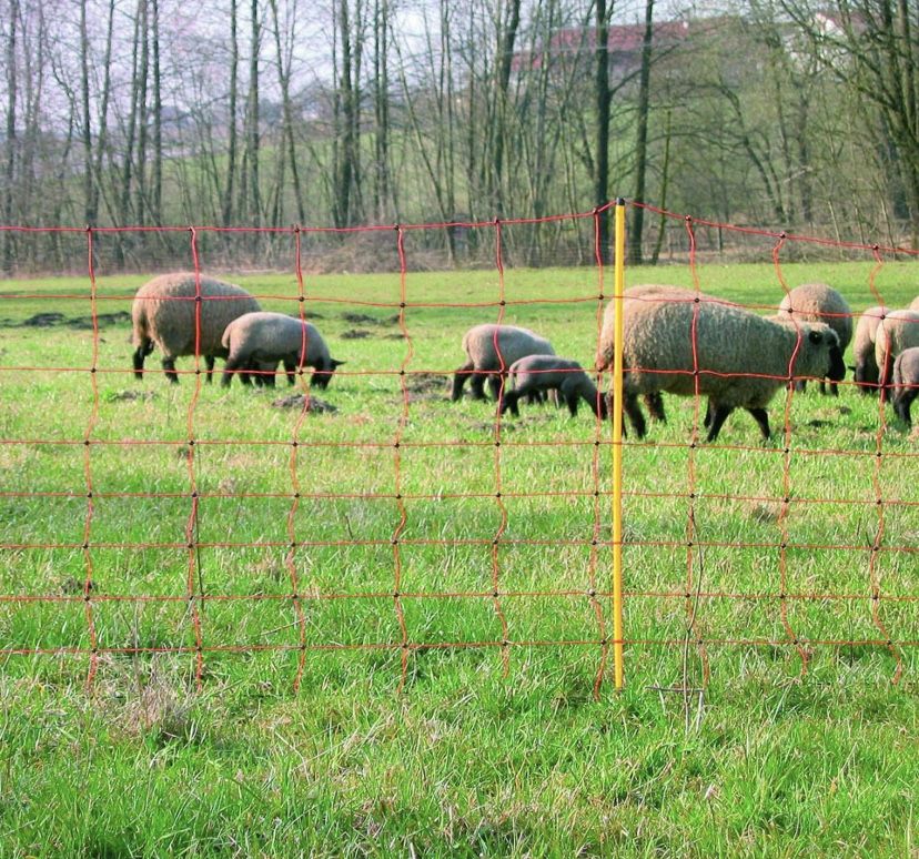 Siatke Elektryczna dla Owiec ,kóz ,malych zwierząt 108 x 50